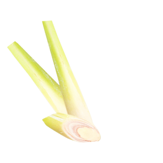 Zitronengras Inhalt Edit 2