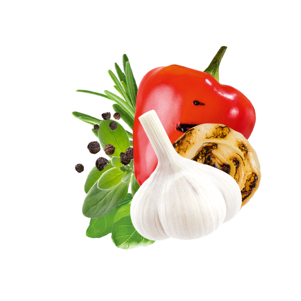 Paprika, Knoblauch, gegrillte Zwiebel, Rosmarin und Majoran