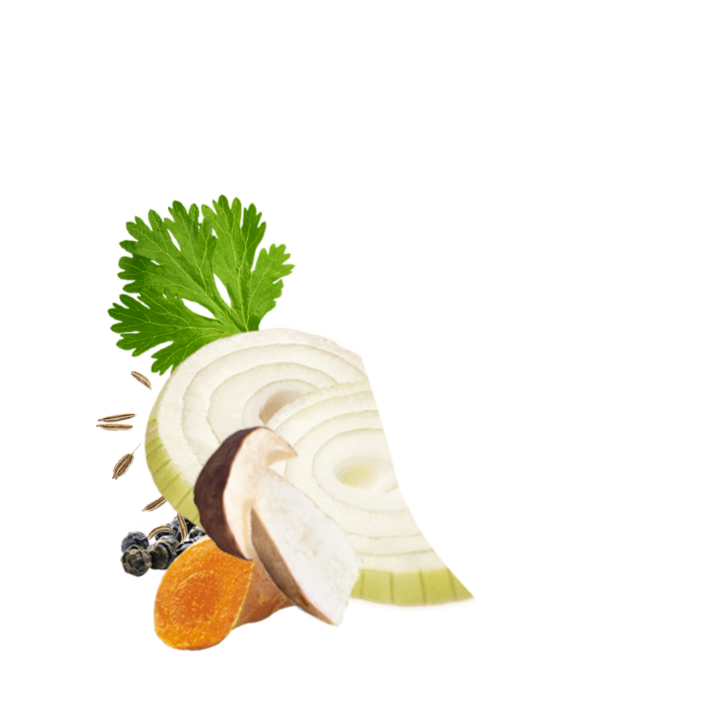 Detailbild Mushroomandonions