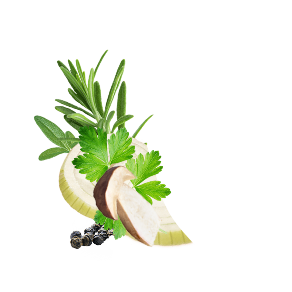 Detailbild Mushroomsandherbs