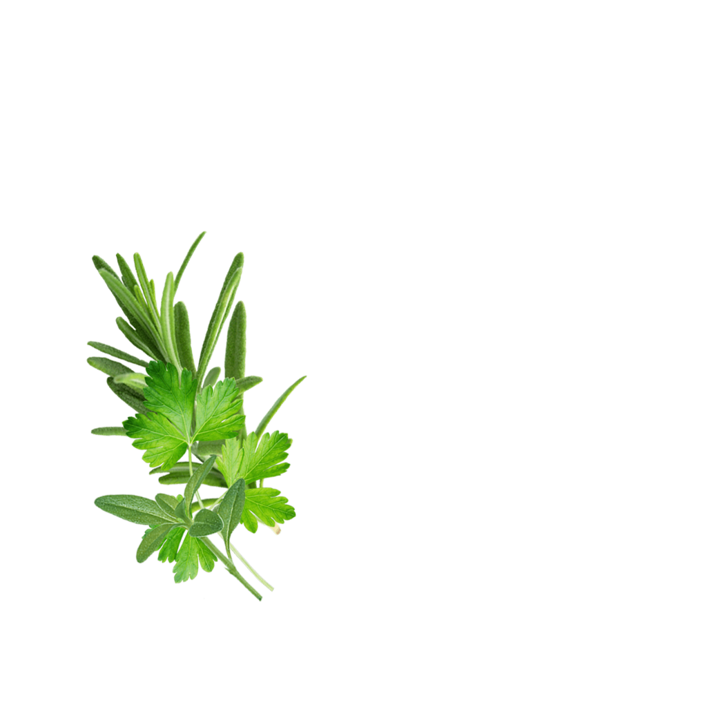 Ru Herbsformeat