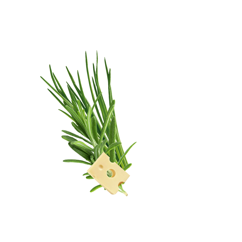 Crispypoh Sir Content 1